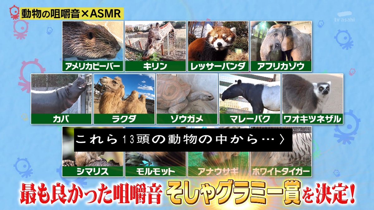 マレーバク 英語 発音 マレーバク 英語 発音