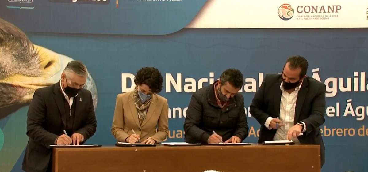 aguagobgente's tweet photo. #Entérate || #GTO firma convenio con los estados del Centro Occidente que integran el @cobiocom, para el intercambio de información y cumplimiento de acciones, para la conservación del hábitat del águila real.
#DíaNacionalDelÁguilaReal #UnidosSomosGrandeza https://t.co/YwqVnjPxI8