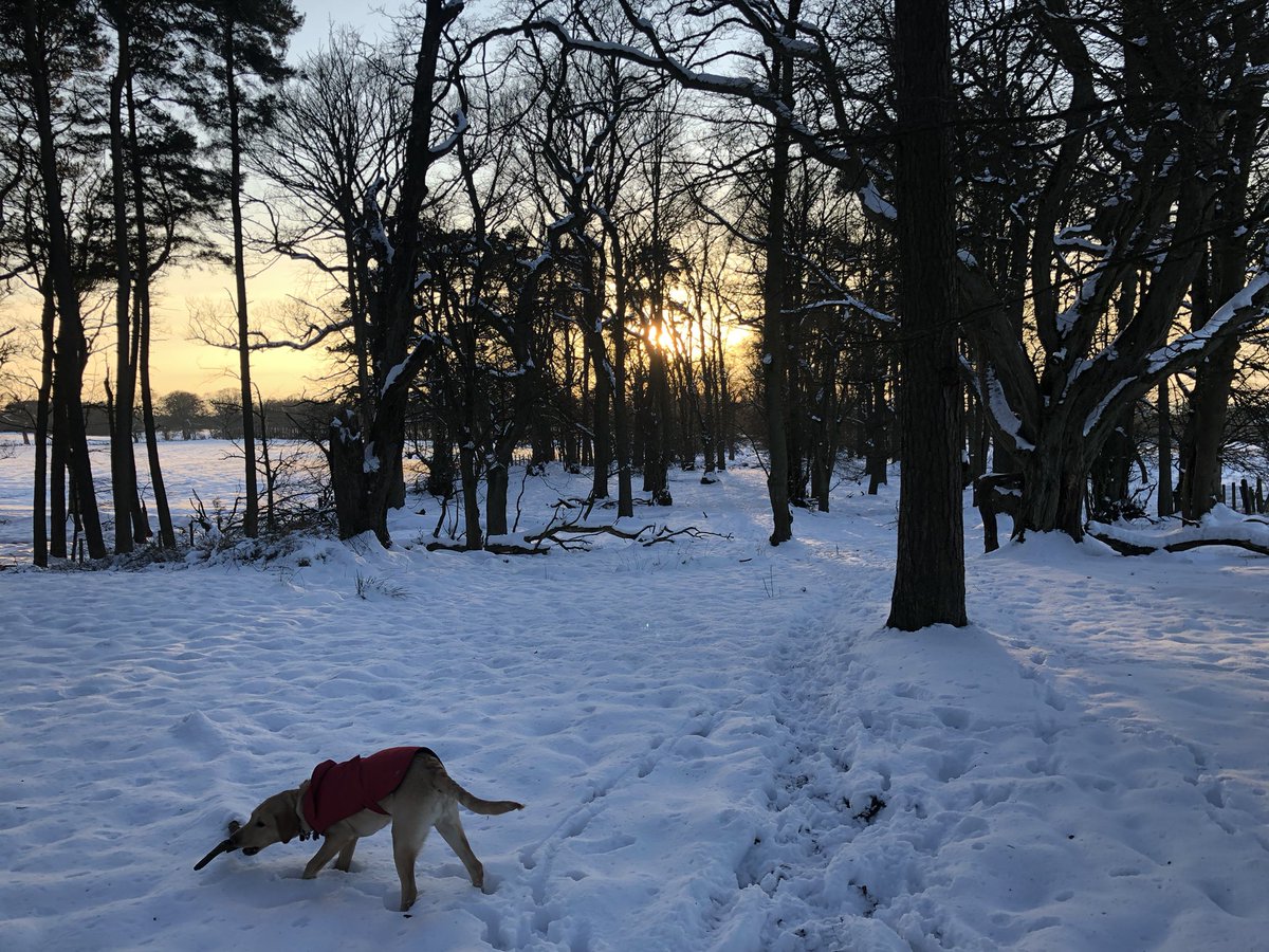 Barney Todd Enjoyed An Early Evening Walk Today To Welcome In The Weekend Taking Some Time For Ourselves Away From Our Desks And Work Is Often Forgotten But Shouldn T Be