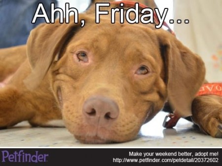 ITeethPC's tweet image. 