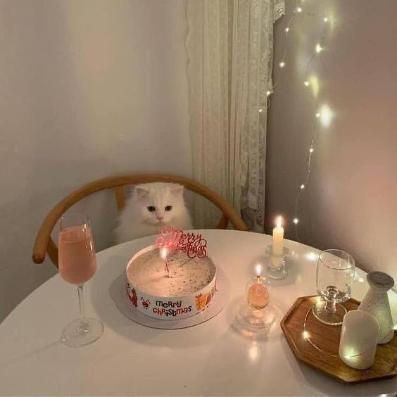 - ꕥ 𝐷𝑒𝑙𝑡𝑎 ꕥ - (เดลแส่บ) tweet media