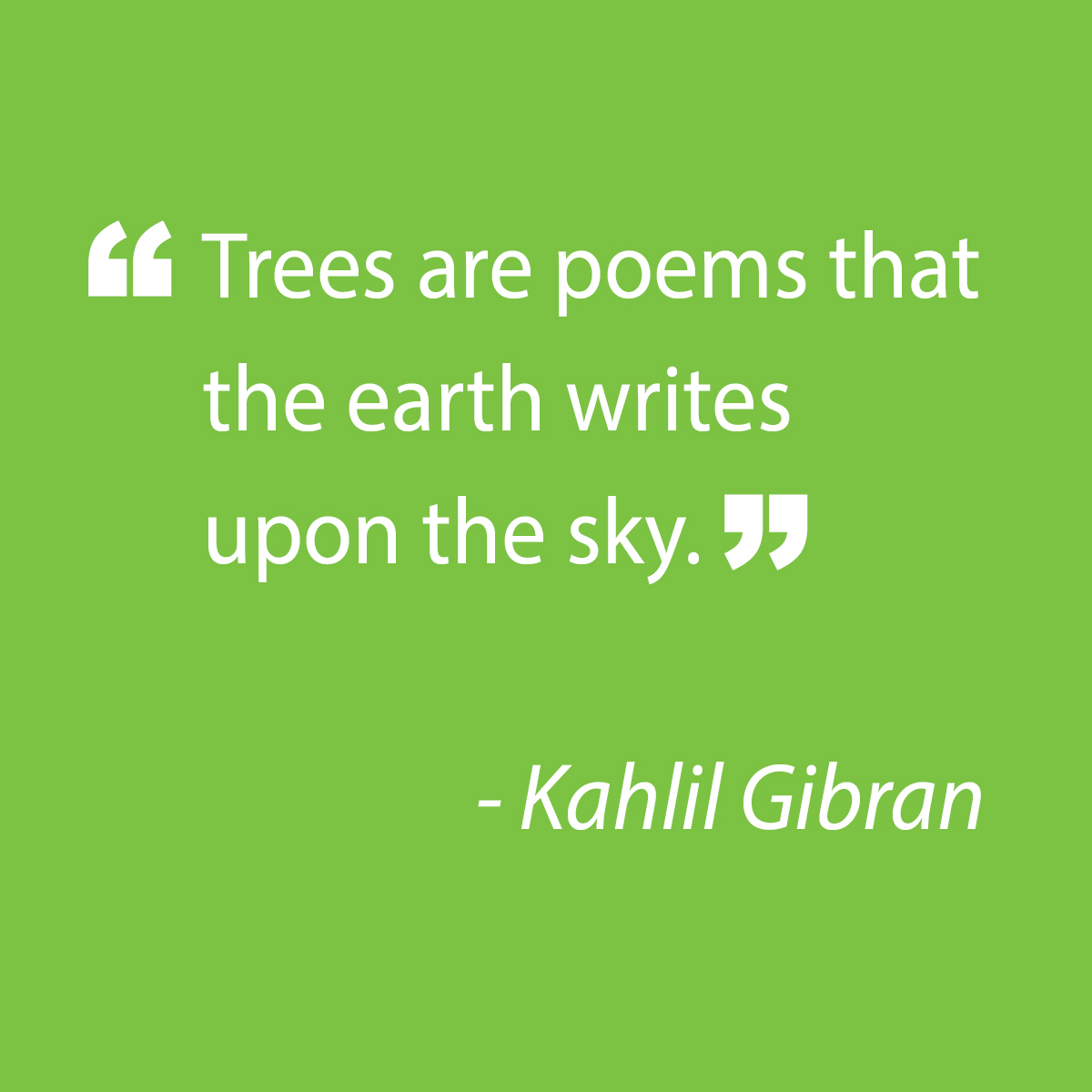 Tired of looking at that empty spot in your yard? A tree could be just the investment you're looking for! Our Certified Arborists are eager to handpick the perfect specimen for your yard. Call (972) 481-9565 to set up your free consultation appointment today!
<a href="/samhilltreecare/">Sam Hill Tree Care</a>