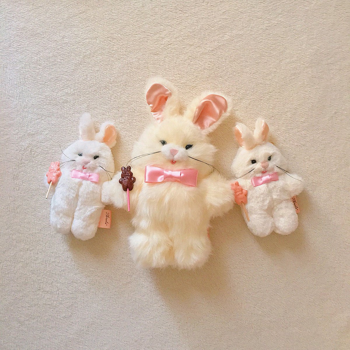 🐰Information 2/13 (土) 10:00〜 うさきちぬいぐるみ ・Mサイズ