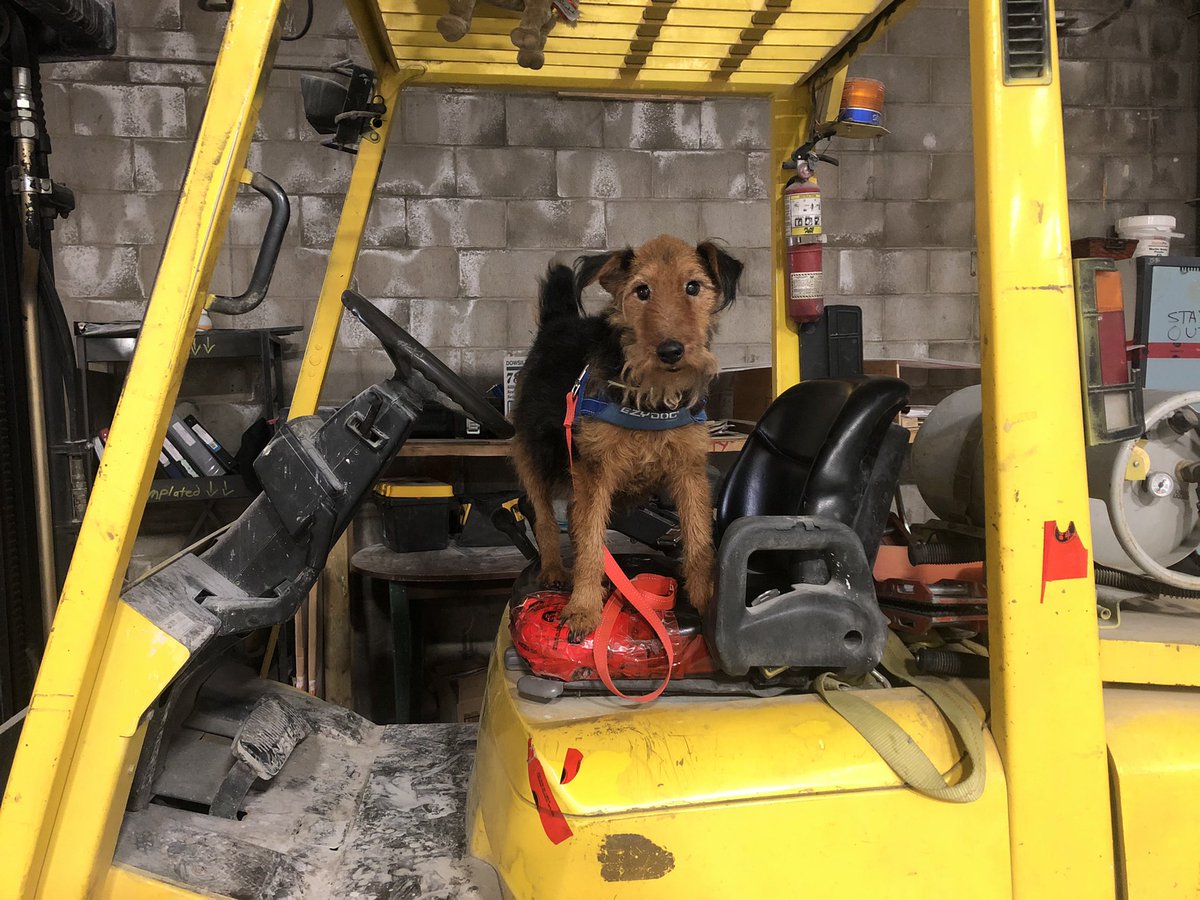 daigneault1212's tweet image. One last ride on the forklift as I give my final orders to the work boys.