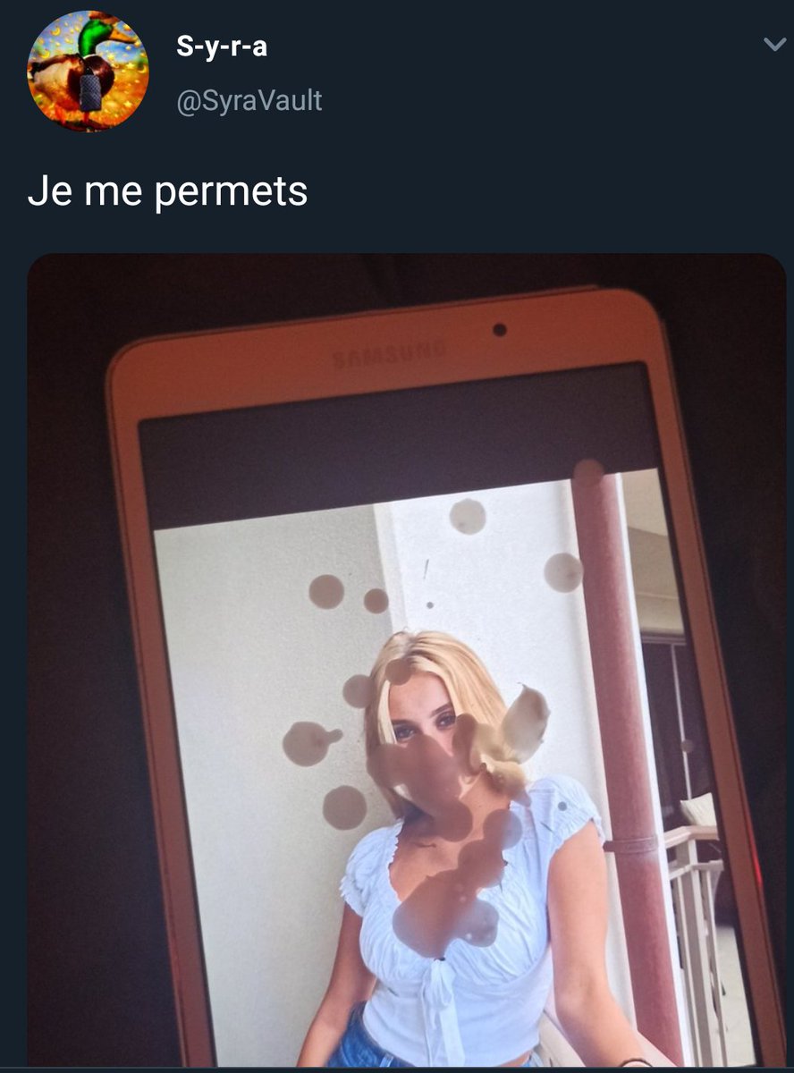 Moi aussi je me permets .