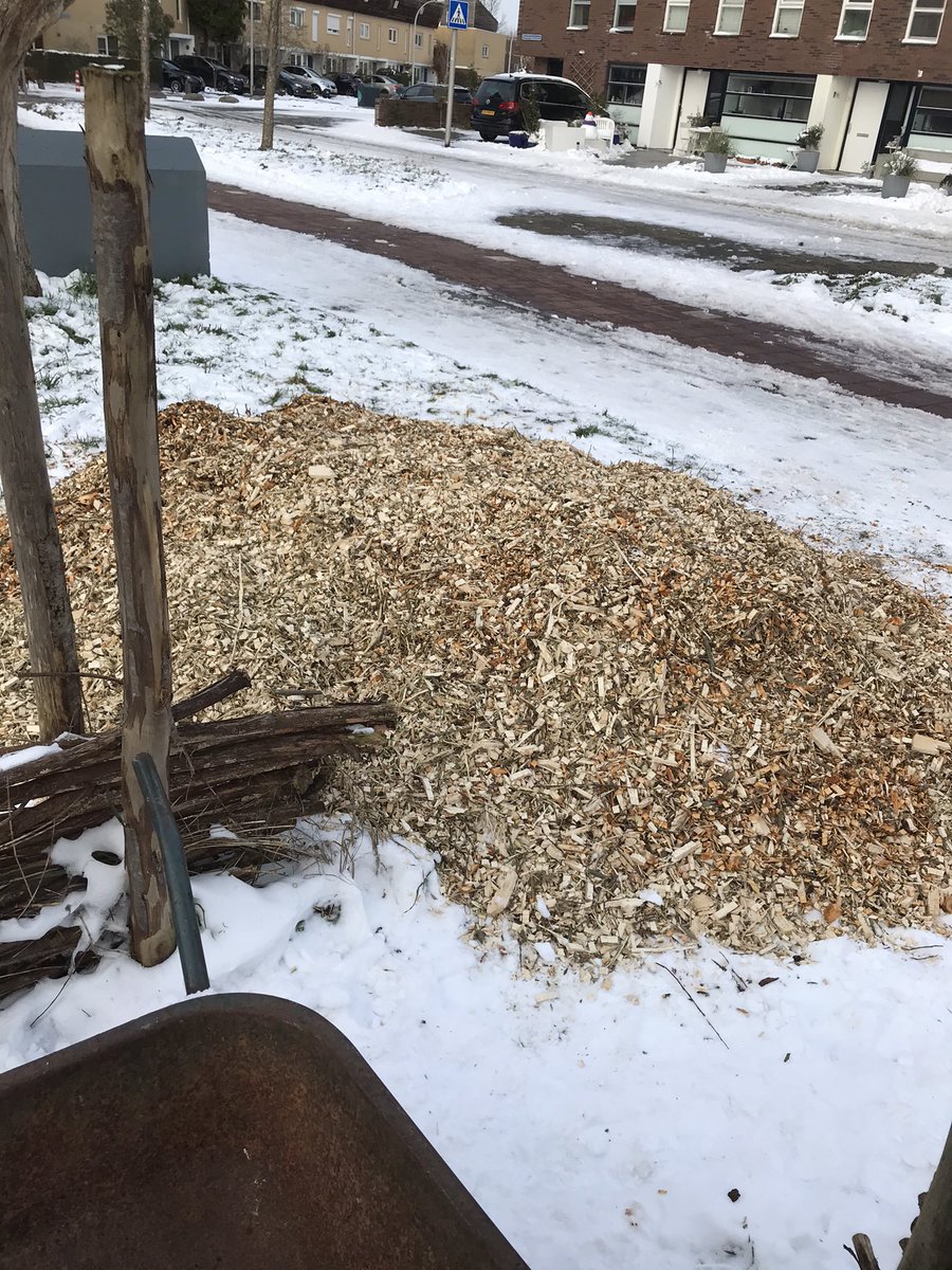 Buurttuin Delfgauw tweet media