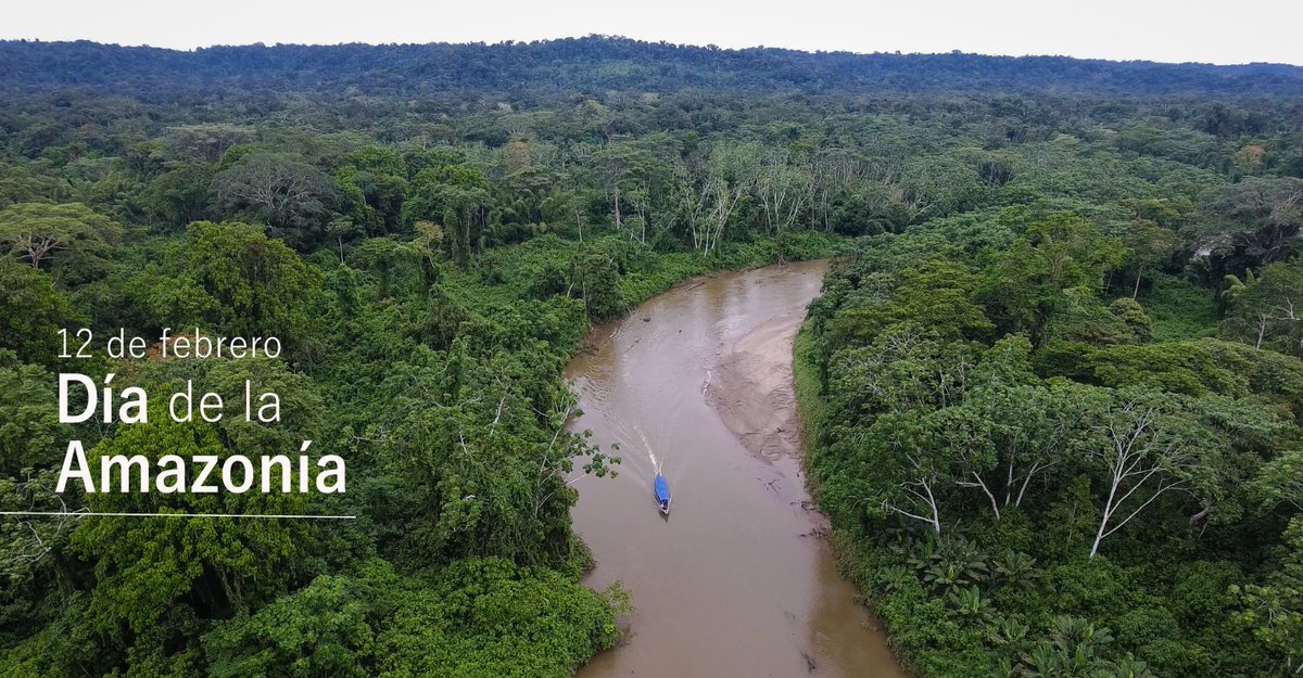 F_EcoCiencia's tweet photo. ¡Nos sumamos a la celebración por el #DíadelaAmazonía, el bosque tropical más extenso del mundo!, un área con una gran diversidad de ecosistemas que la hacen clave en las estrategias de conservación de la biodiversidad mundial.
¡Hoy es motivo de celebración! https://t.co/LPCEf4gF4k