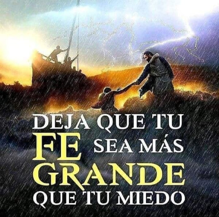 AlientoWords787's tweet photo. Hay un NO TEMAS de parte de Dios para tu vida hoy, mañana y siempre!! Confia!! https://t.co/6eSkftlZOq