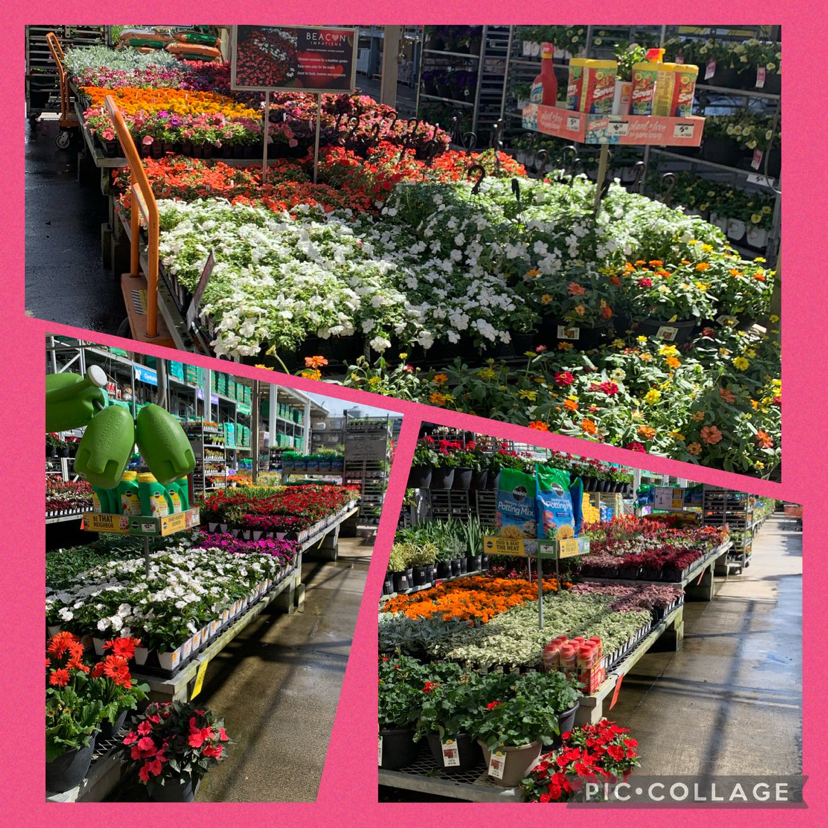 kim_Sorci_HD273 (@sorcikim) on Twitter photo 273 is ready for the weekend 💝<a href="/venice0273/">Kimberly Williams</a> <a href="/bjryan3/">bj ryan</a> <a href="/Fbenavides86/">Francisco Benavides</a> <a href="/allenkelly333/">Allen Kelly</a> <a href="/RichieRichS1/">Richard Slaughter</a> <a href="/Christi78096612/">Christine Mcmillan</a> <a href="/Mrwholestore/">Mrwholestore🉑</a> <a href="/BrettTHD/">Brett Stephens</a> 273 is ready for the weekend 💝<a href="/venice0273/">Kimberly Williams</a> <a href="/bjryan3/">bj ryan</a> <a href="/Fbenavides86/">Francisco Benavides</a> <a href="/allenkelly333/">Allen Kelly</a> <a href="/RichieRichS1/">Richard Slaughter</a> <a href="/Christi78096612/">Christine Mcmillan</a> <a href="/Mrwholestore/">Mrwholestore🉑</a> <a href="/BrettTHD/">Brett Stephens</a>