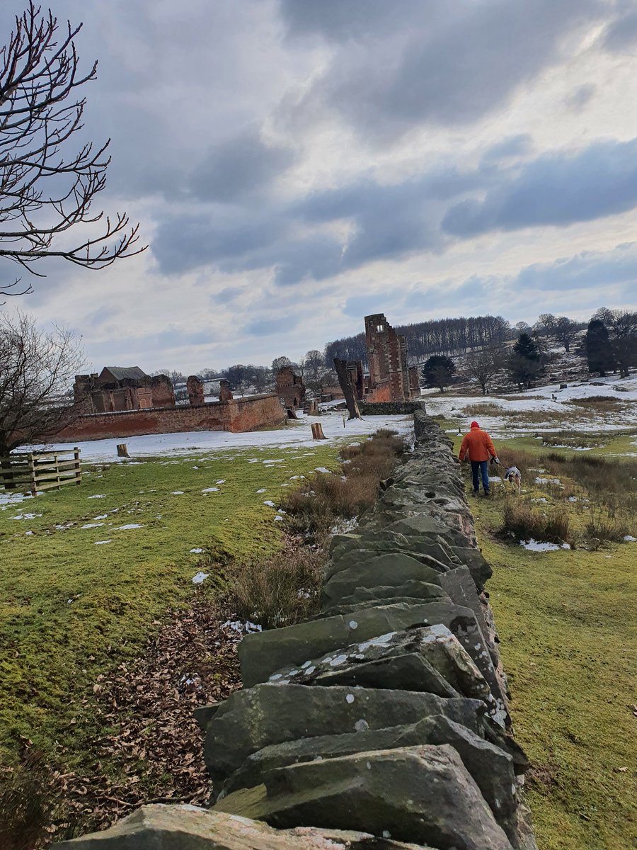 Louise Lester tweet media