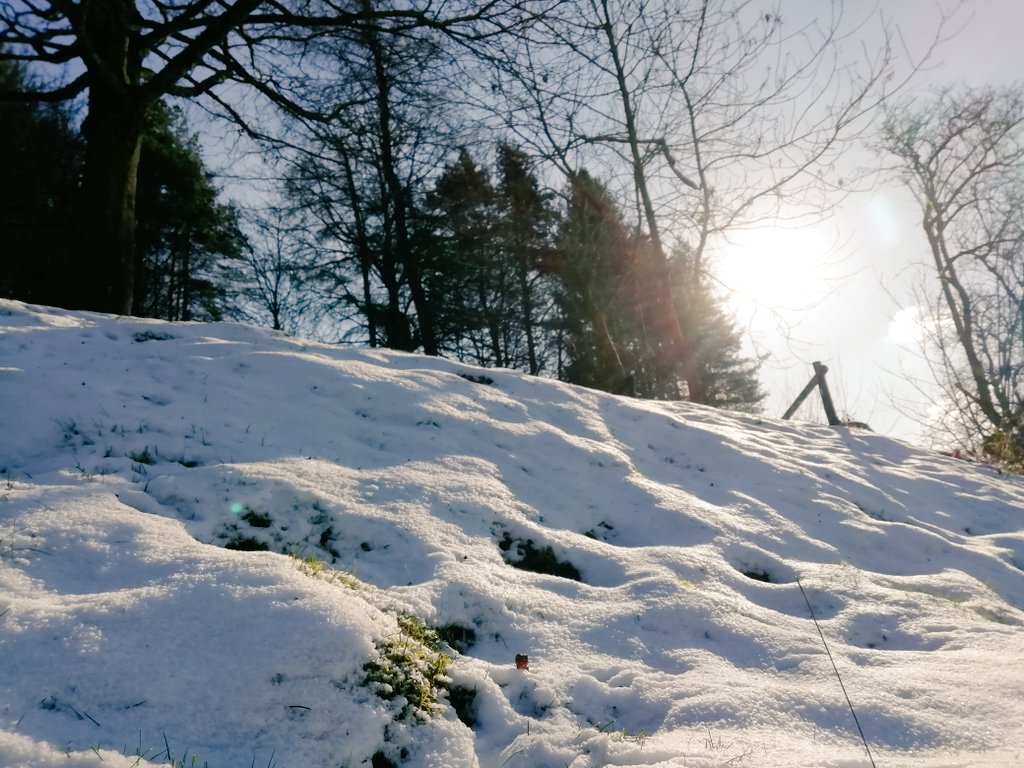 #TheRoaches #Staffordshire #walk #nature #Winter #Activeday
 🤸‍♀️❄️😊