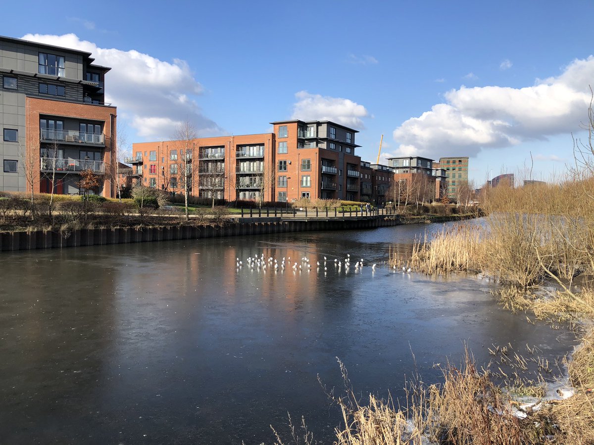 Fabulous walk today along the Aire and Calder navigation @CanalRiverTrust