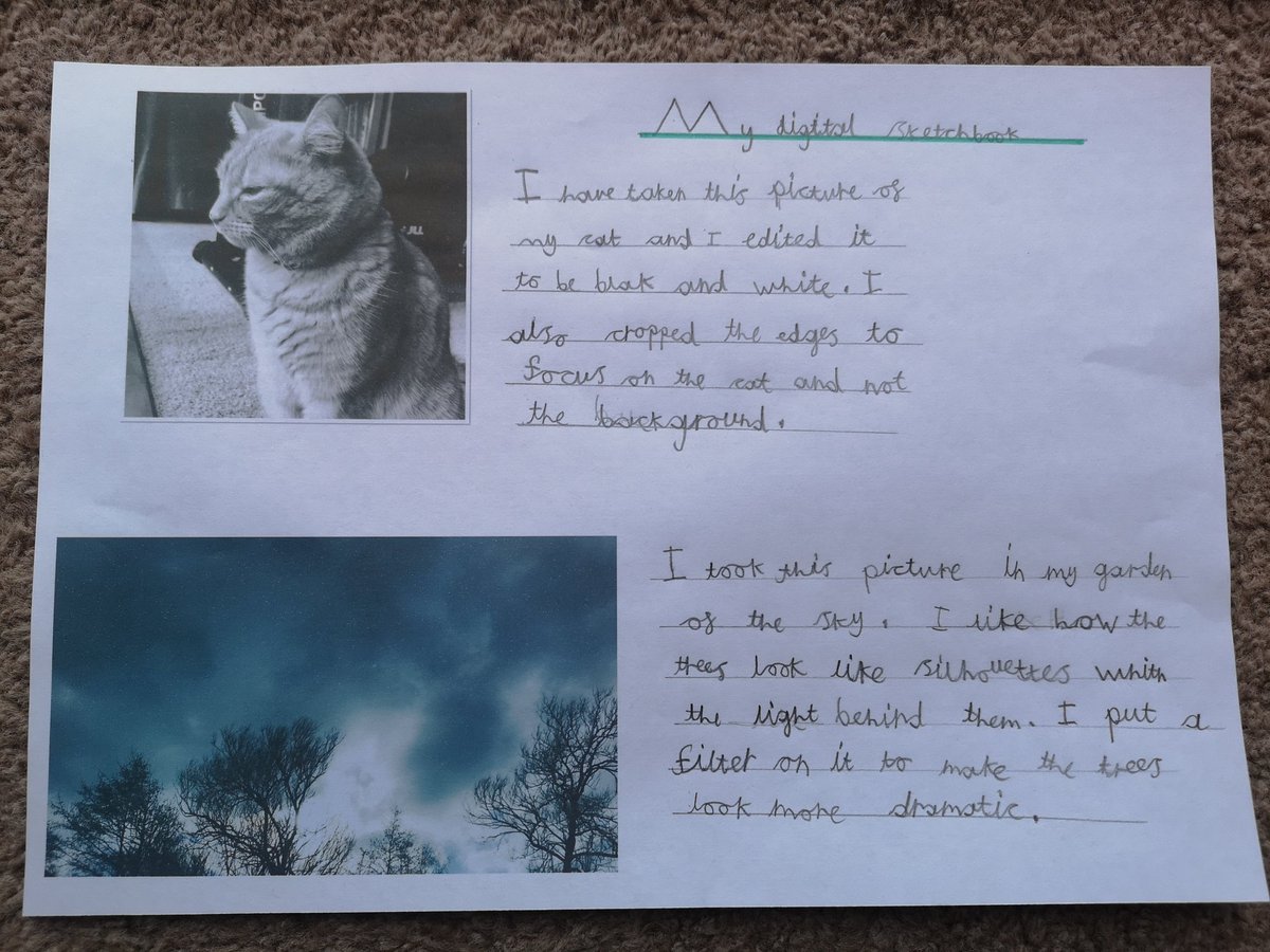 holgate_laura's tweet photo. @walmleyjssc @MissPearson2020
This is Elsie's digital sketchbook. She enjoyed taking photos and editing them 📸 https://t.co/Y9J00rbuqh