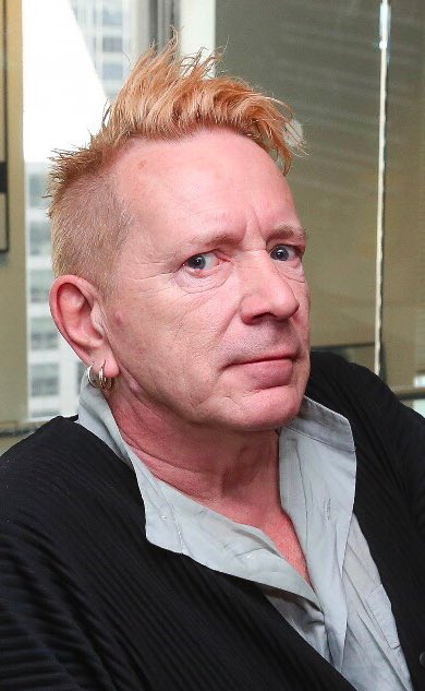 Angus MacNeil: John Lydon Likes to think of themselves as a bit of a rebel but has really just spent too much time reading right wing conspiracies online.