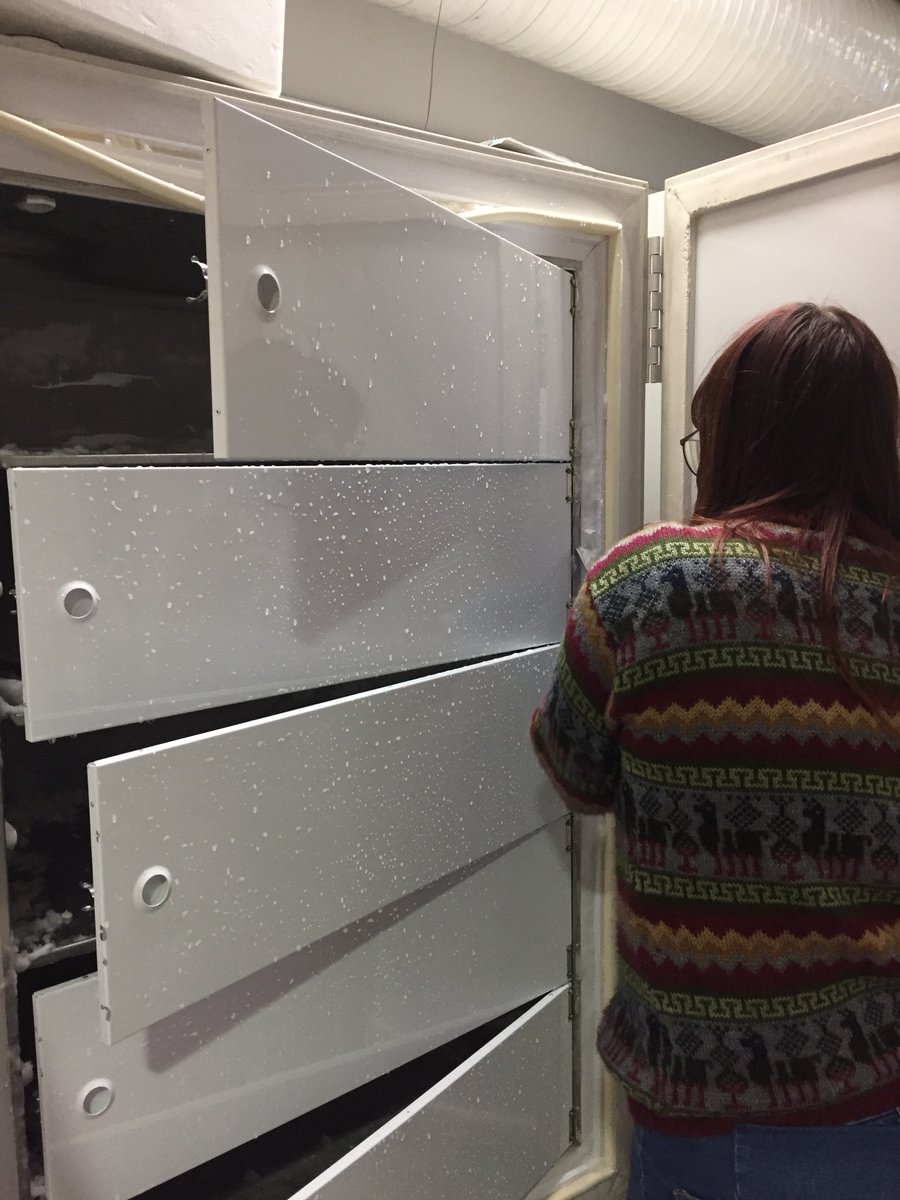 TCDgreenlabs's tweet photo. #FridayActivity in @TCINeuroscience:
@ManisLab and @TranspharmLtd are cleaning and chilling up their ULT freezer!
Is your ULT set at -70C yet?
Find out more and join the #FreezerChallenge here! https://t.co/q1x9vUaZ0A https://t.co/G1g1IbeIZN