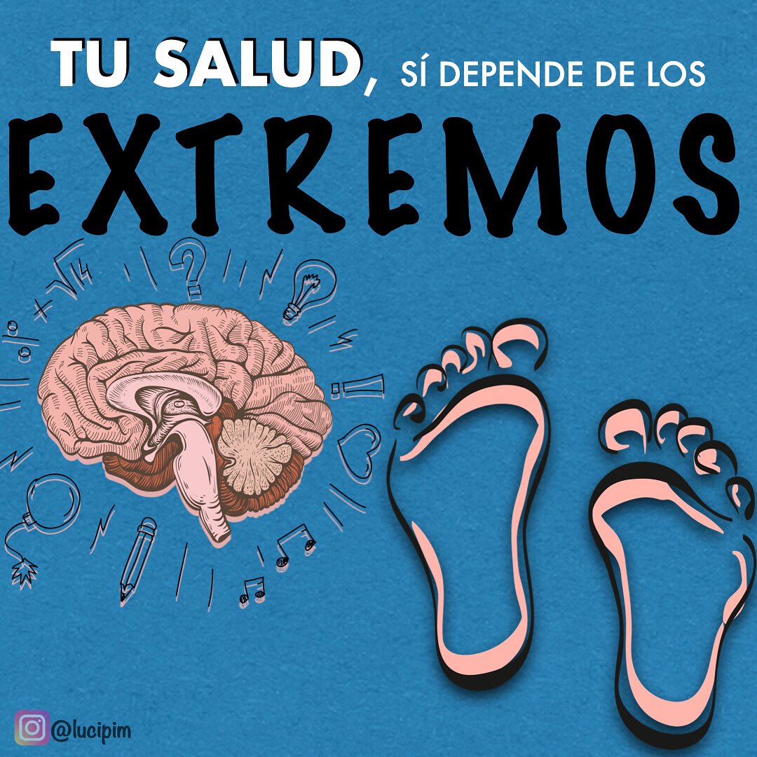 lucipim's tweet photo. De la cabeza a los pies y de los pies a la cabeza, tu salud sí depende de los extremos 😌⁣
⁣
Normalicemos ir al psicólogo (y más en los tiempos que corren), leer un libro, tener malos días y entrenar descalzos. ⁣
⁣ ⁣
#movewell #footmovement #footcare #footcore #mentalhealth https://t.co/8hWZyGc6sh