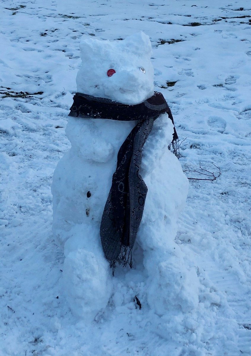 EastCoast_Coll's tweet image. It&apos;s time to reveal the winner of our student snowman competition! ❄

It was a hard one to judge with some many fantastic entries, but the prize goes to @L6FC student Aimee Ward with this lovely sculpted snow bear! Well done Aimee, we will be in touch to send your Amazon voucher