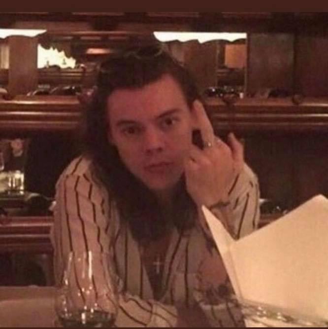 hstylespics's tweet photo. harry styles x 🖕🏻 https://t.co/WFflNSj1PE