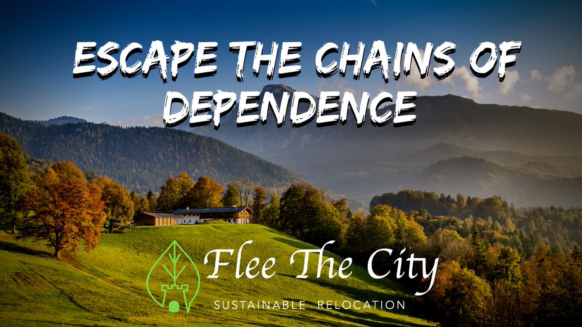 fleethecitynow's tweet photo. Escape the chains of dependence.

https://t.co/Sz7KBx74Vb

#FleeTheCity
#RuralAmerica
#SustainableLiving
#Family
#Relocate https://t.co/YBqSgmKSSJ