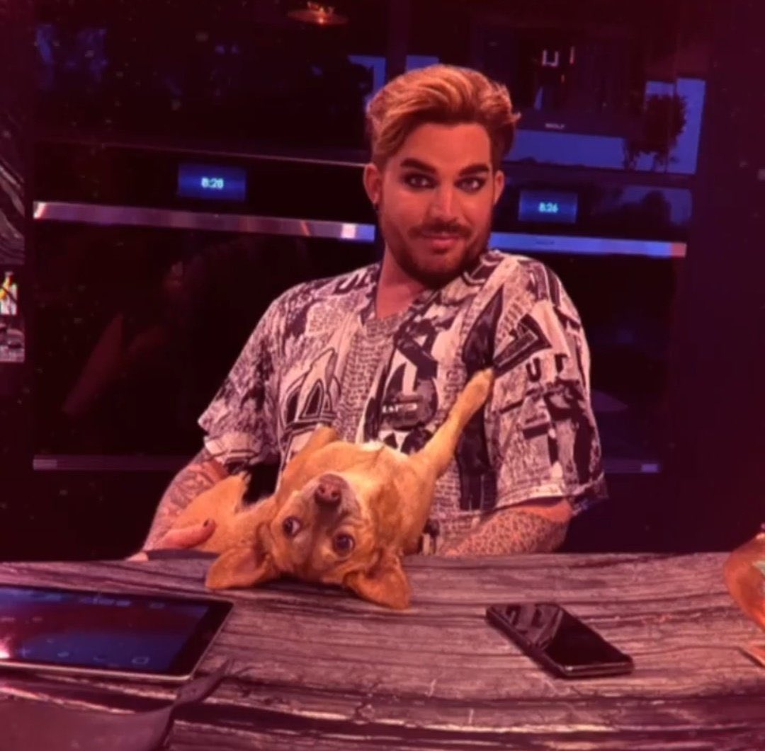 lesbianyog's tweet photo. I need Adam to fire everyone and rebrand I'm so tired of media&amp; gp constantly dismissing the rest of his solo work. He's so much more than Idol runner up/Queen frontman/WWFM/GhostTown singer https://t.co/GYfmnKACWJ