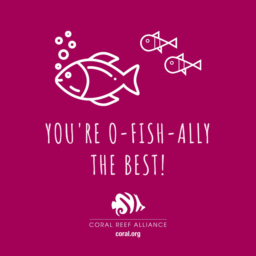coral_org's tweet photo. You can't go wrong with a ๐ pun. Happy Valentine's Day! ๐โค๏ธ๐
Share these with the loved ones in your life to show how much you care.
#ValentinesDay #BeMine #love #fishpun #ocean #fish https://t.co/el55GcXvG3
