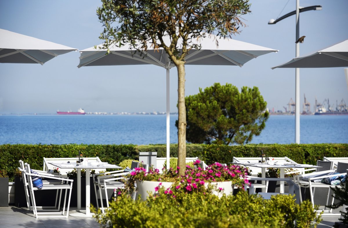 Your hidden garden oasis with the best sea views in the heart of Thessaloniki.
makedoniapalace.com
#MakedoniaPalaceHotel #MakedoniaPalace #Thessaloniki