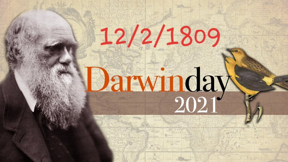 Дарвин даты. Charles darwin short biography in english. Дарвин даты. Дарвин даты. Дарвин даты.