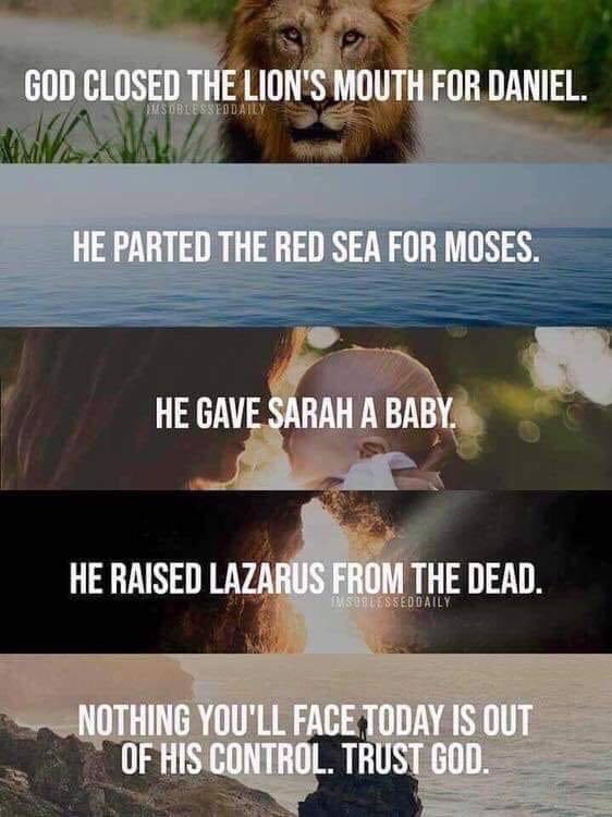 Karin_in_CA's tweet image. You don’t think He can instill the RIGHTFUL President?!  #HeIsAble