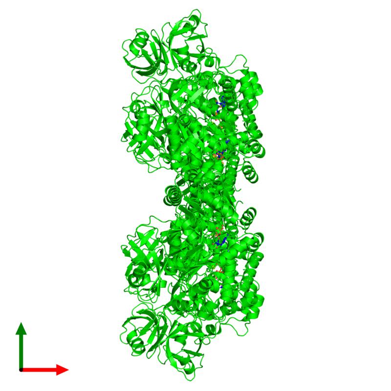 PDBimagebot's tweet photo. #HexamerOfTheWeek 'Structure of p97 N-D1 A232E mutant in complex..' published in @jbiolchem. Find it at https://t.co/heCfGYc4LK https://t.co/YWddKYLOpq