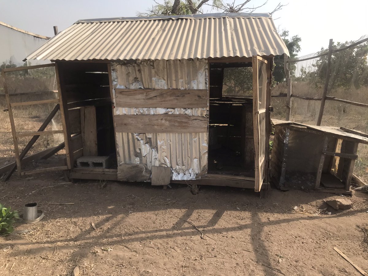 AdewuniFarms's tweet photo. Yours truly @AdewuniFarms just acquired poultry farm structure  of about 1000sq meter in a sub hub of the FCT. Now we are well grounded in Abuja. https://t.co/GGsVKCxAkH