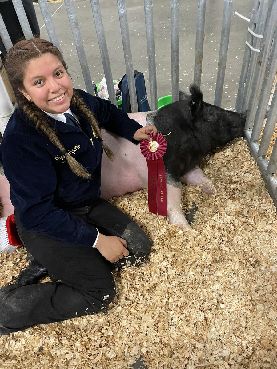 mcapetillo tweet media