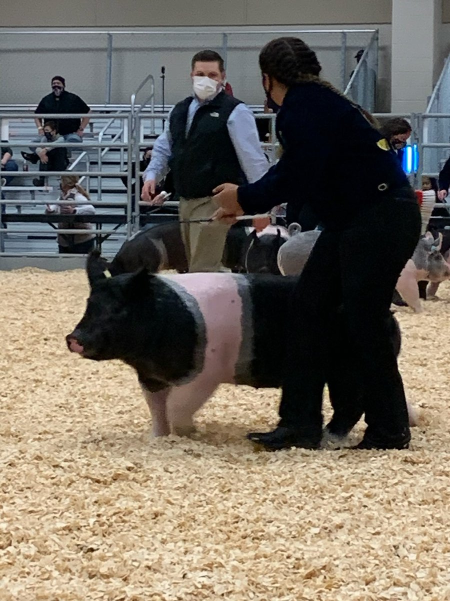 mcapetillo tweet media