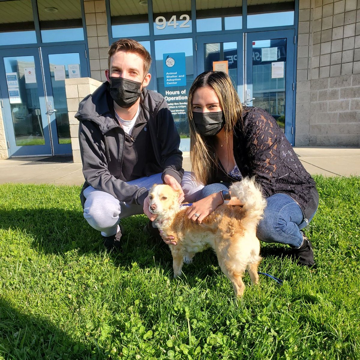 NapaShelter's tweet photo. Here is little Curly Q heading to her new home with her family. This sweet little girl will have a wonderful life, building her confidence and being loved!
#adoptdontshop #FriendsofNapaAnimals #americancanyon #napa #napacounty #yountville #sthelena #calistoga https://t.co/tIcb0jyWYU