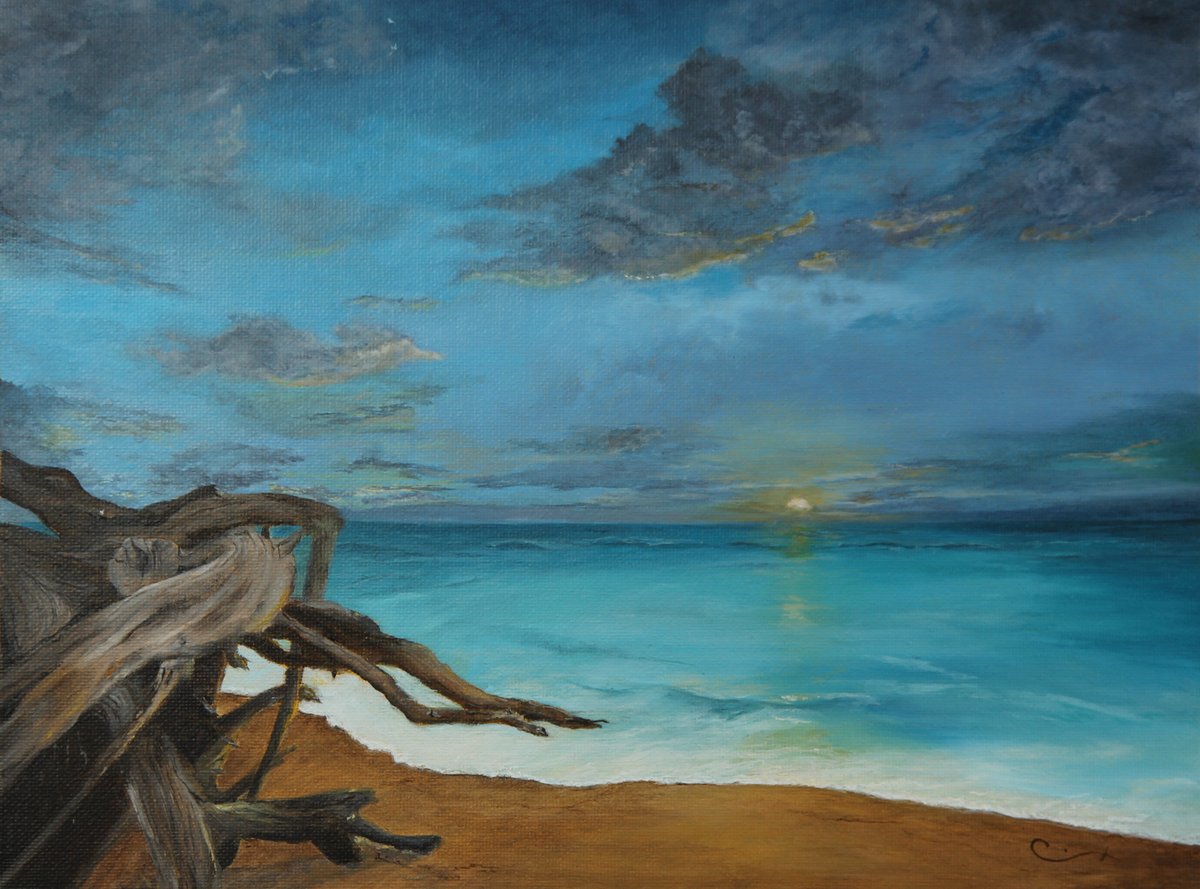"Driftwood Beach"
9" x 12" original oil on panel
Thanks for checking it out!
michaelcadieuxart.com
#mikeypaints