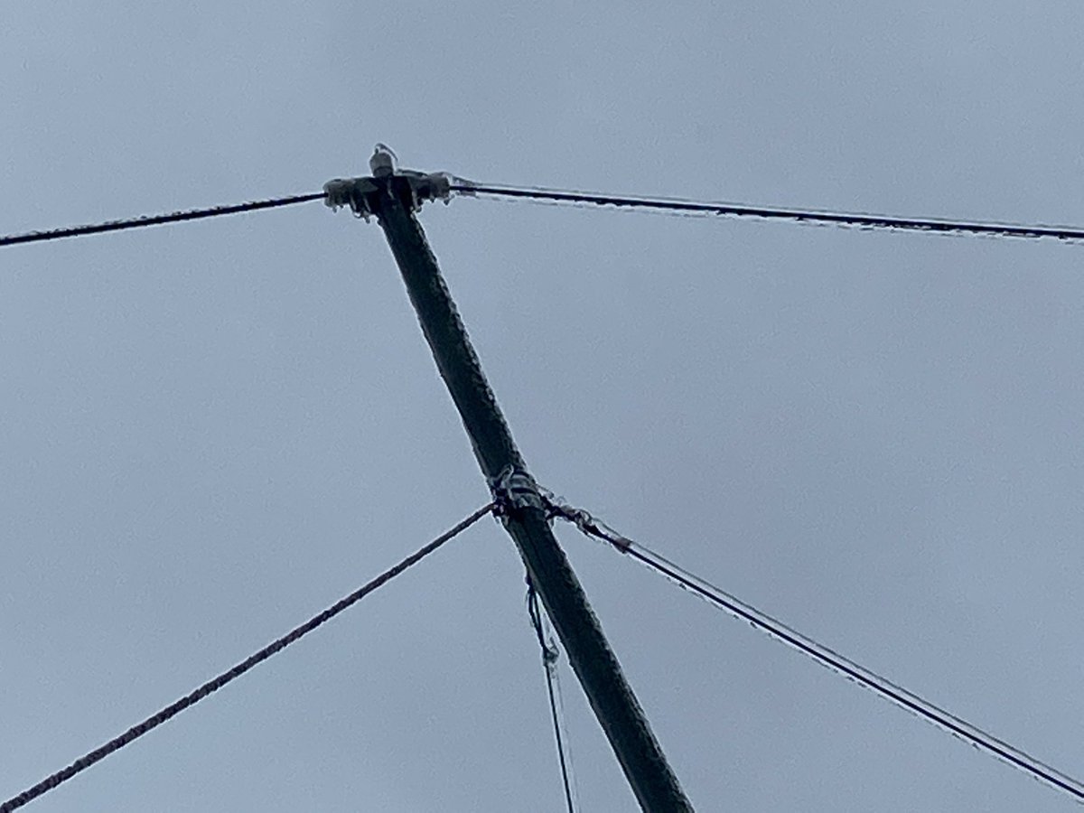 Frozen 40m double bazooka with 3:1 SWR 😅😅😅 #Vortex #polar #TexasWeather