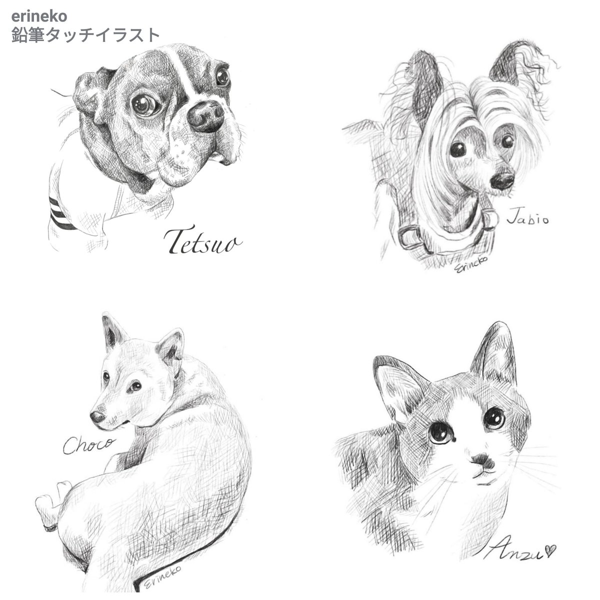 Erinekoペットの似顔絵 Webデザイン 色んなタッチでペットの似顔絵を描いてます 暖かみのある飼い主さん達の心がhappyになる絵を目指してます リアルタッチイラスト カラフルイラスト 鉛筆タッチイラスト 色鉛筆タッチ イラスト Erinekoペットの似顔絵 Webデザイン 色んなタッチでペットの似顔絵を描いてます 暖かみのある飼い主さん達の心がhappyになる絵を目指してます リアルタッチイラスト カラフルイラスト 鉛筆タッチイラスト 色鉛筆タッチ イラスト