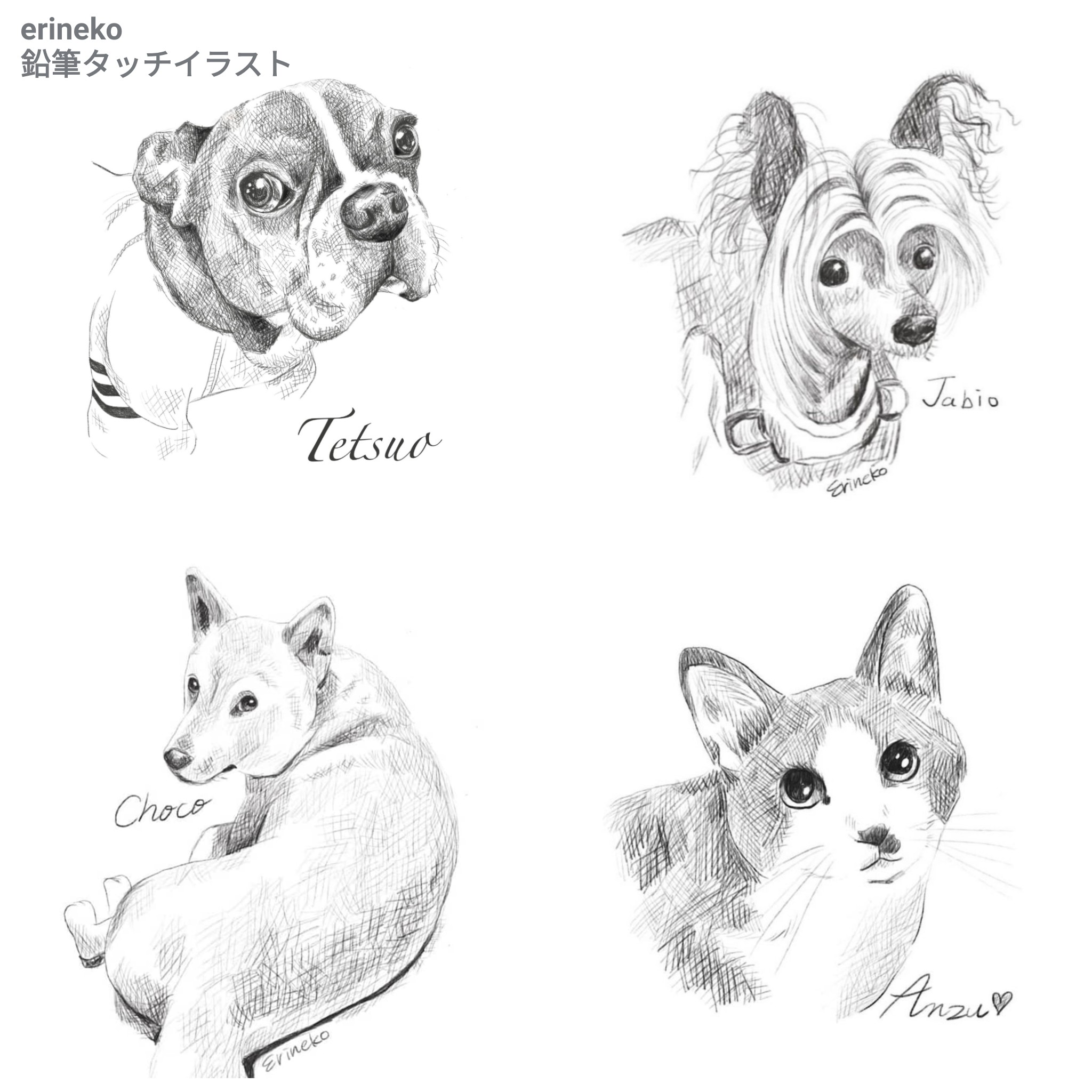 Erinekoペットの似顔絵 Webデザイン 色んなタッチでペットの似顔絵を描いてます 暖かみのある飼い主さん達の心がhappyになる絵を目指してます リアルタッチイラスト カラフルイラスト 鉛筆タッチイラスト 色鉛筆タッチ イラスト T Co
