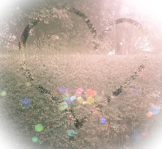 Adri Land ♊🇦🇷🇮🇹 tweet media