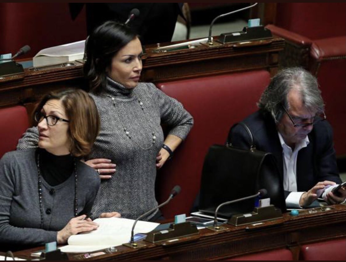 stanzaselvaggia's tweet image. Il nuovo rinascimento.