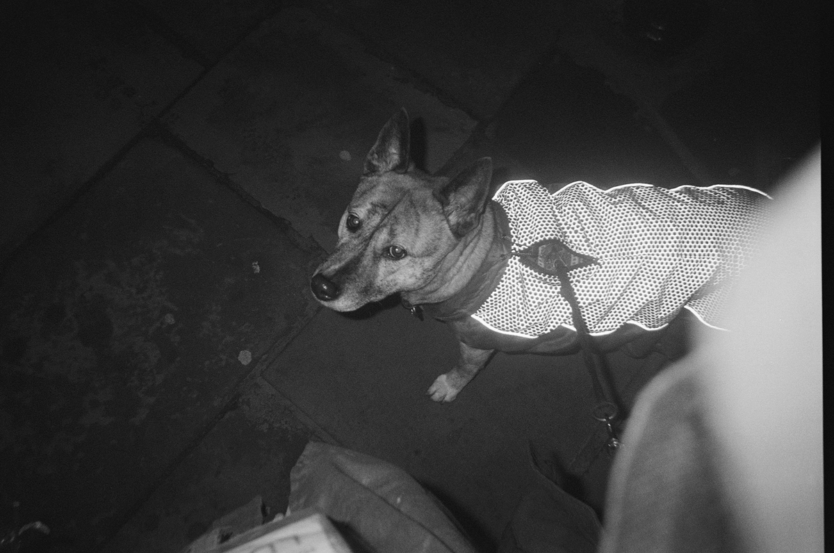 Some are snapshots (which is not a bad thing, and I take lots of those myself) but most that come out have some sort of feeling to them.Of London, at a strange time in the world, and what it's like to live in an even more uncertain way than normal.