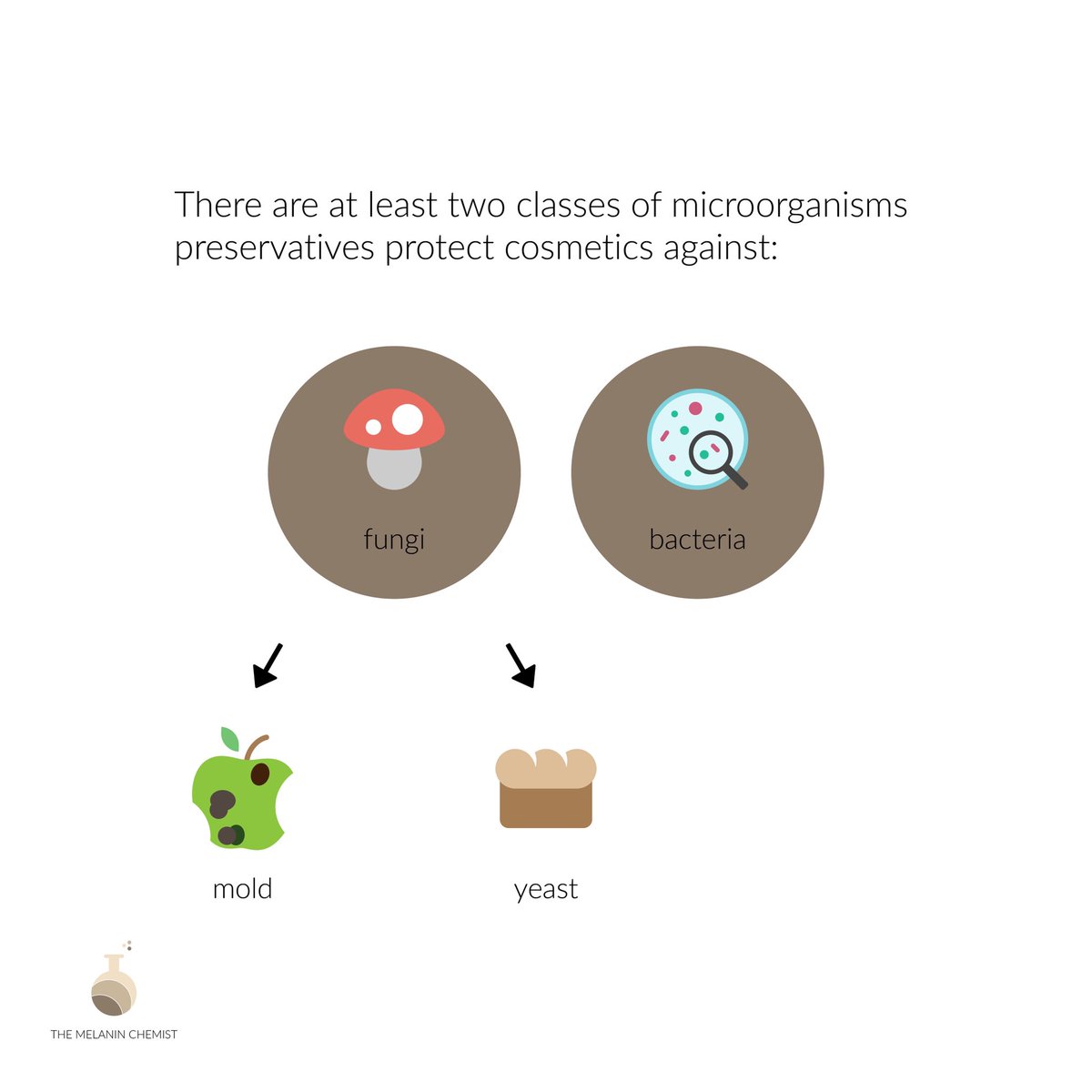 When it comes to microorganisms there are at least two classes that are a problem in cosmetics: Bacteria and Fungi. Remember there are several microorganisms under each category and not EVERY microorganism can be seen with the naked eye!