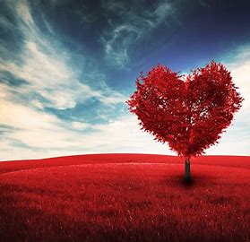 VCCR_2019's tweet image. Support #rightsofnatureva while you shop! Two good deeds in one!
Use smile.amazon.com/ch/85-0757114 to confirm "VNDER" as your charity of choice, and AmazonSmile will donate a portion of your eligible purchase price to our organization.