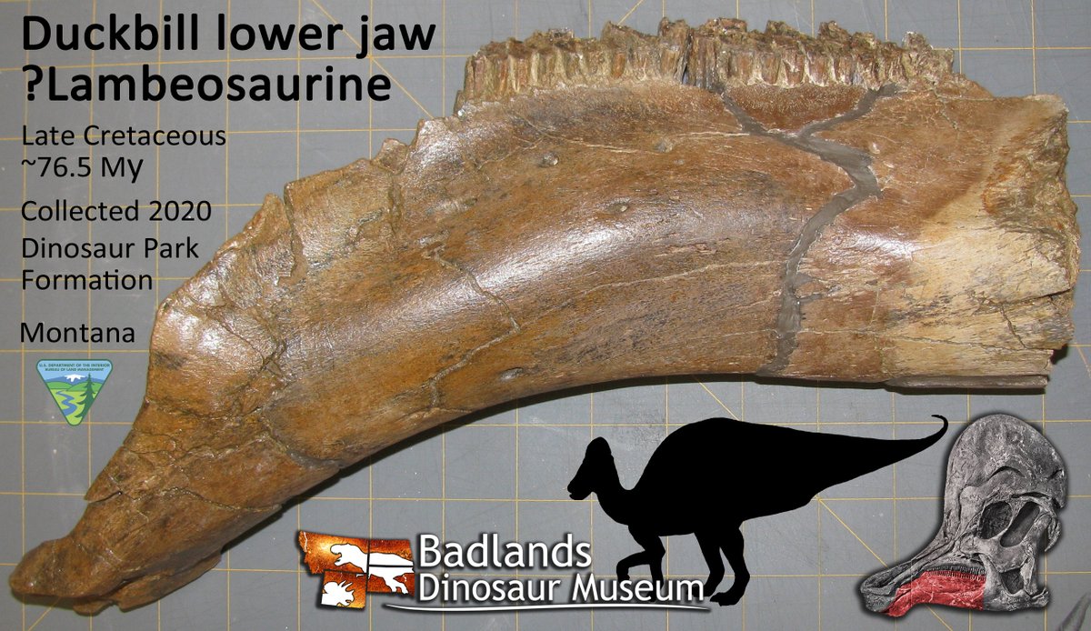 Denver Fowler Ph.D tweet media