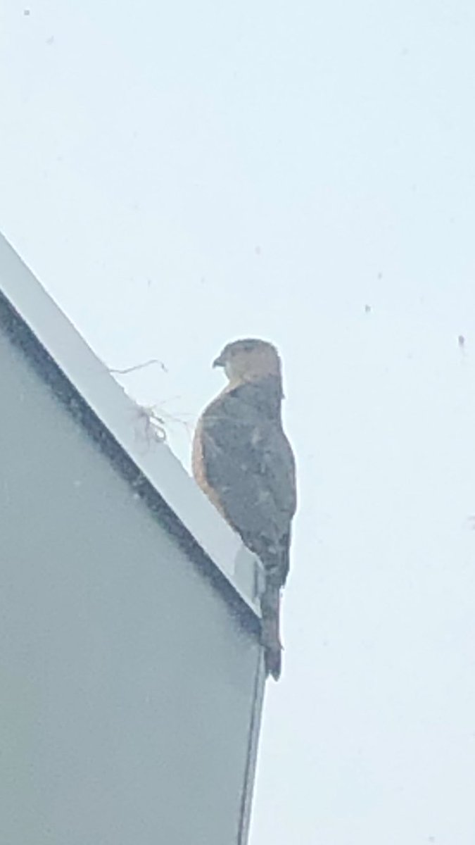 Douglas Main tweet media