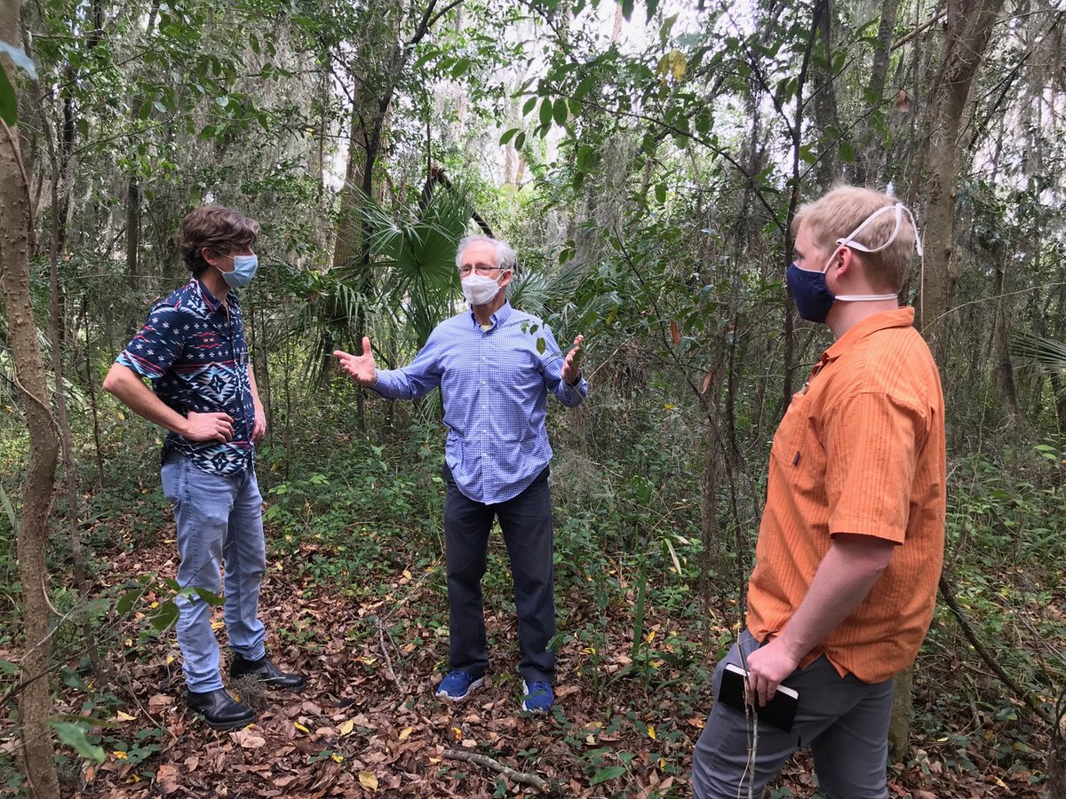 soltislab's tweet photo. Doug, @gloquidias, @thomas__herman and Shan started IDing some of the trees/other plants on the portion of McCarty Woods planned for development. We're planning to place labels to show passers by what would be lost if plans move forward. #Biodiversity #Conservation https://t.co/NjboO8wcRt
