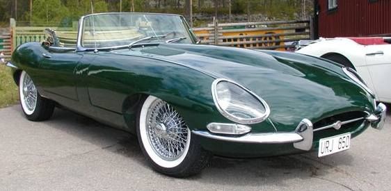 #jaguar #jaguaretype #motorizm