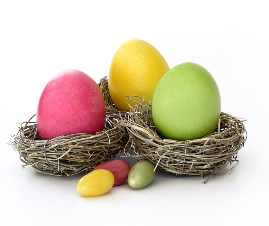 SbNResort tweet media