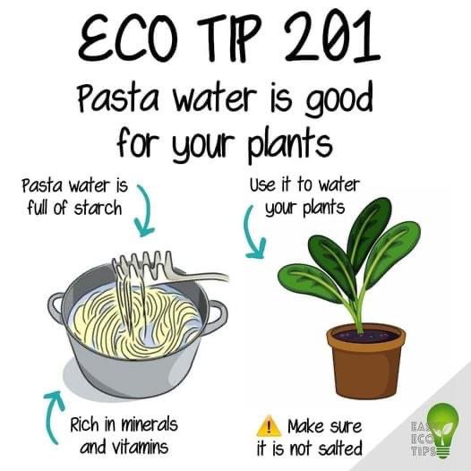 Rutland Garden Centre (@centrerutland) on Twitter photo Who knew? #houseplants #ecotips Who knew? #houseplants #ecotips