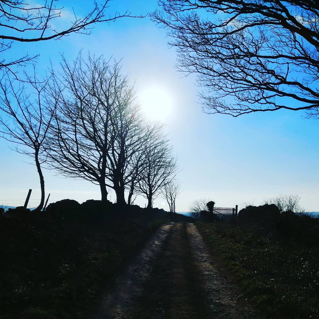 Nice walk out today with dudley ❄️☀️