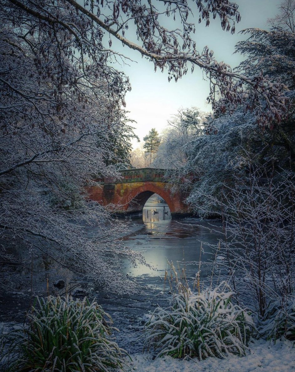 Birmingham What's On tweet media